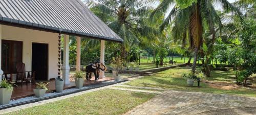Polpithigama Cabin | Wel Eliya eco lodge