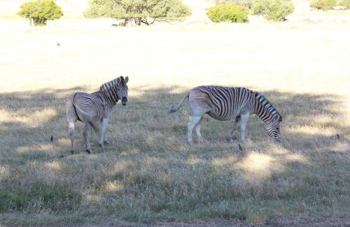Tulbagh Cabin | Welbedacht Game & Nature Reserve