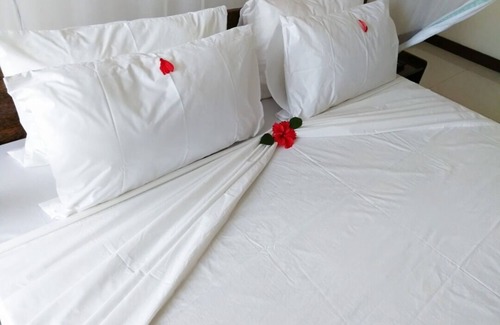 Pemba Island House | Welcome at Chake Chake Hotel