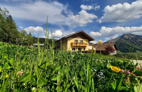 Krispl Apartment | Welcome to Appartement Reitlhof – Your Organic Farm Holiday in Salzburg 🏡🌿