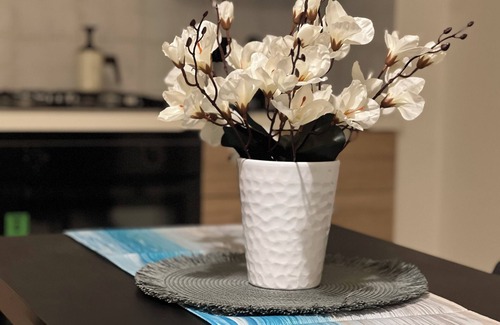 Casamassima Apartment | Welcome to our cozy Apartment! TERRY'S HOUSE 2 minutes from everything!