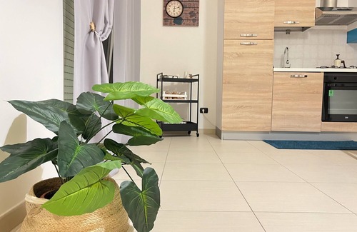 Casamassima Apartment | Welcome to our cozy Apartment! TERRY'S HOUSE 2 minutes from everything!