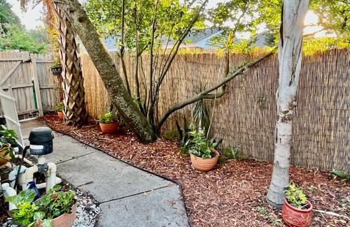 Virginia Park Apartment | Welcome to our cozy apartment!