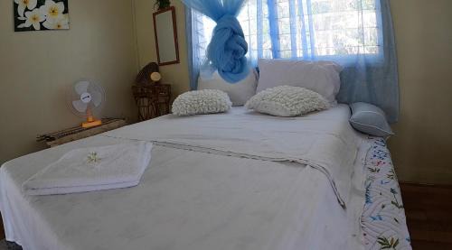 Santa Isabel Island House | welcome to putuo ecolodge hidden germ of Solomon