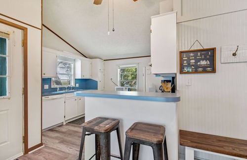 Cedar Lane House | Welcome to Super Happy Fun Land!