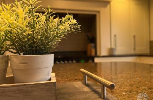 Wrexham House | Welcome To Wrexham