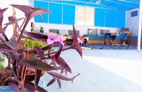 Chefchaouen House | Welcomehome