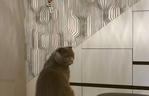 Changning Apartment | Welcoming 1-bedroom apartment in Shanghai with WiFi