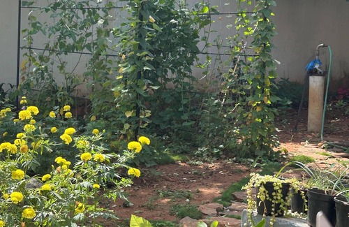 Mysore House | Welcoming 2-bedroom house in Mysuru