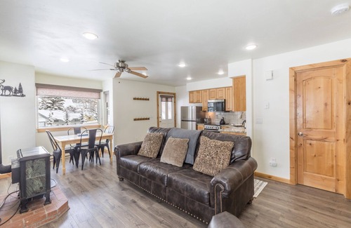 Ouray Condo | Welcoming Mountain Condo- Steps Away from Main Street- Pet Friendly!