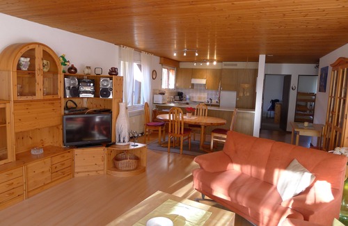 Ruedisbach Apartment | Well-kept apartment in the Swiss mountains (whether Interlaken)