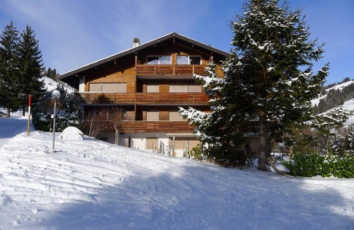 Ruedisbach Apartment | Well-kept apartment in the Swiss mountains (whether Interlaken)