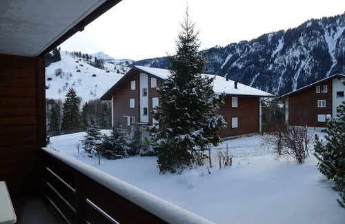 Ruedisbach Apartment | Well-kept apartment in the Swiss mountains (whether Interlaken)