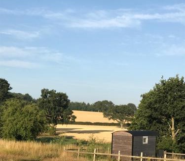 Newport House | Wellbank Shepherds Hut