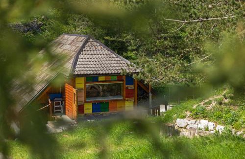 Predgrize Apartment | Wellbeeing Apiary at Klemen's