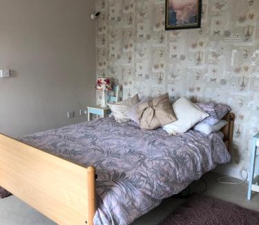 Cleristown House | Wellfield house