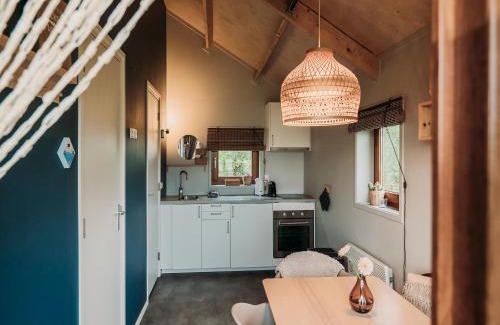 Ruinerwold House | Wellness Lodge in Dutch Meadows with Hot Tub