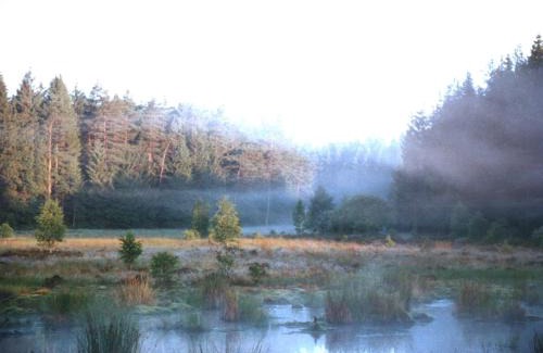 Wetter House | Wellness und Wander Oase Burgwald
