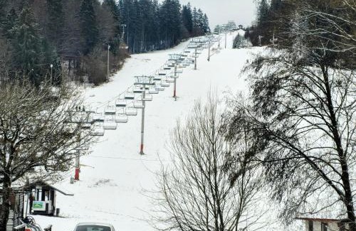 Bela - Dulice Ski Chalet | Wellness Vila Limaco Slovakia