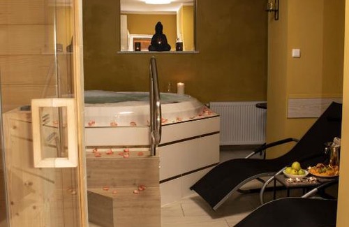 Prague 3 Apartment | Welness Praha Infrasauna virivka + pokoj