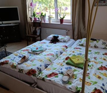 Wedding House | Weltoffenes privates Gästezimmer bei LGBTQ freundlichen Gastgeber der mit in der Wohnung lebt