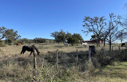 Bandera House | West 1077 Guest Ranch - Buckeye Room 3