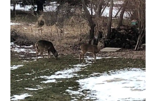 Sleepy Hollow Other | West Dundee .