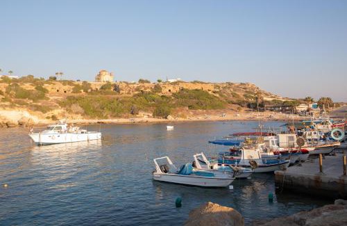 Agios Georgios Pegeias Hotel | West End Hotel