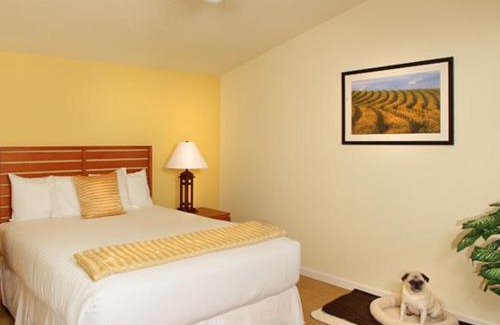Guerneville Hotel | West Sonoma Inn & Spa