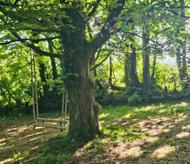 Calverleigh Apartment | West Wing Lurley Manor