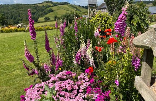 Buckfastleigh Bed & Breakfast | Westerley Country B & B with exclusive Guest lounge