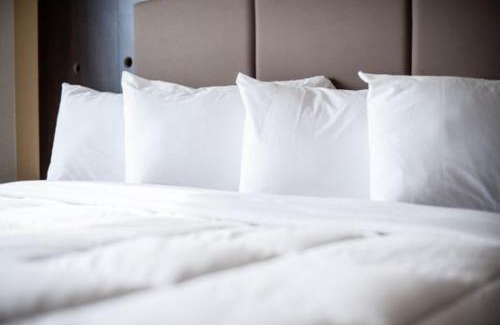 Carlyle Hotel | Western Star Inn and Suites Carlyle