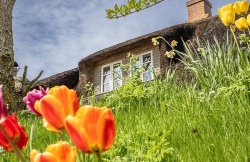 Westertilli House | Westertilli 8
