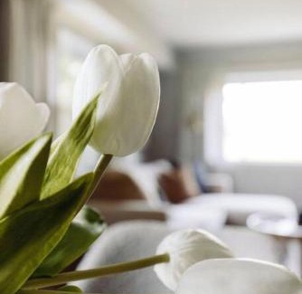 Westlake Apartment | Westlake Harmony