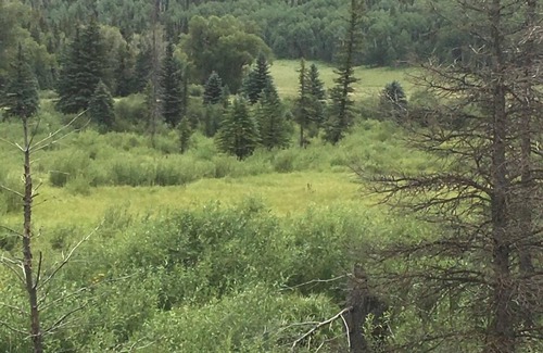 Rye RV Rental | Wet mountain