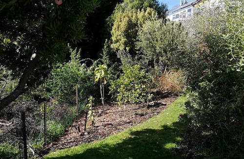 Christchurch Bed & Breakfast | Whaka Heights