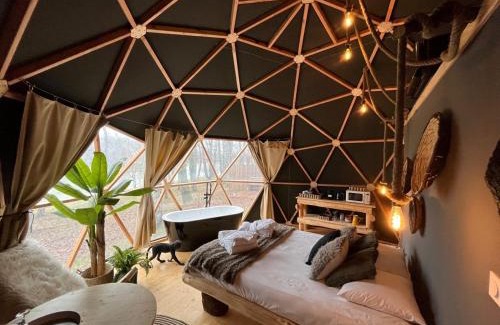 Seissan Cabin | Whaka Lodge