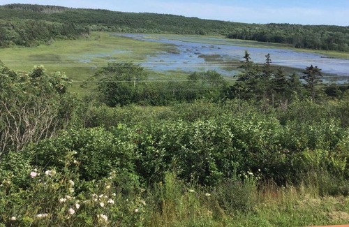 Tiddville Cottage | Whale Cove Cottage