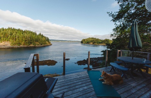 Quathiaski Cove Cottage | Whales and eagles out your front door! Stunning ocean views, private and quie