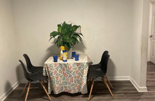 Tallahassee Apartment | Where cozy meets comfort