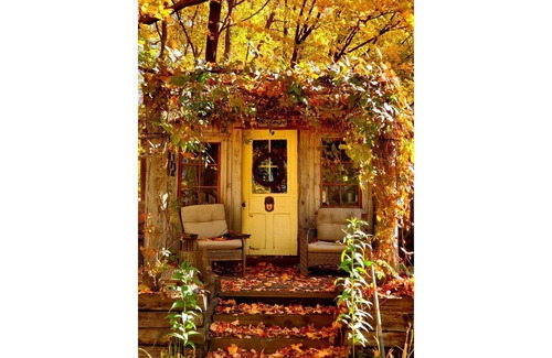 Renfrew House | Where luxury and nature come together!