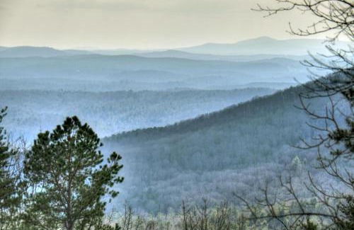Ellijay House | Whiskey Bear