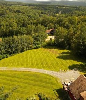 Chester House | WhiSki Cabin *12-acres with mountain views!*