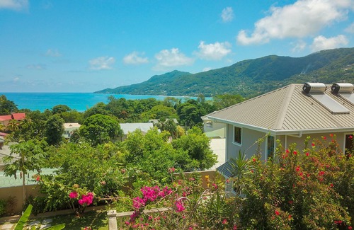 Beau Vallon Apartment | Whispering Palms Self Catering Apartment - Adults Only