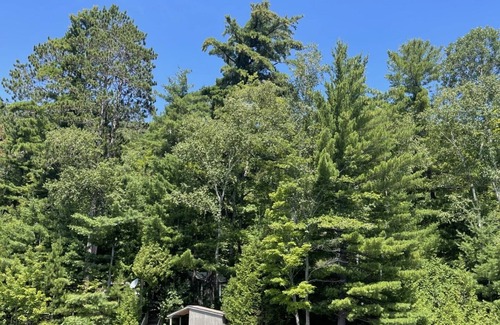 North Frontenac Cottage | Whispering Pines Cottage
