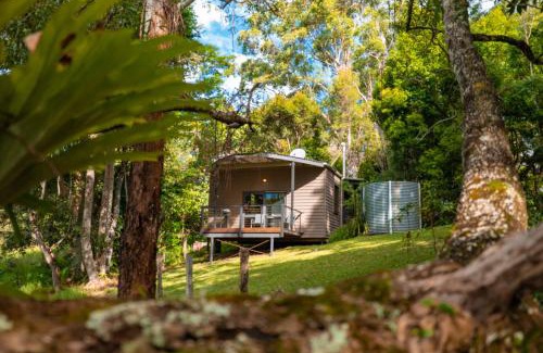 Witta Cabin | Whispering Valley Cottage Retreat