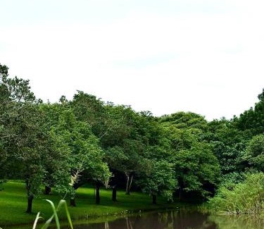 Empangeni House | Whistling Woods