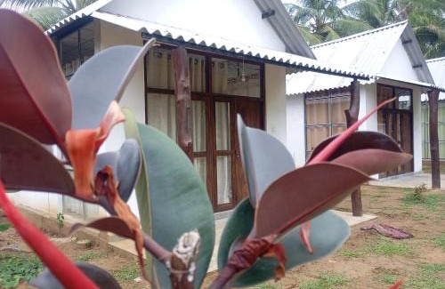 Udawalawa Hotel | White House Cottage