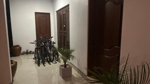 Maspotha House | White House Family Stay