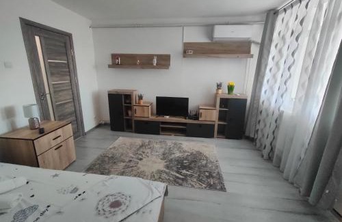Turnu Magurele Apartment | White House